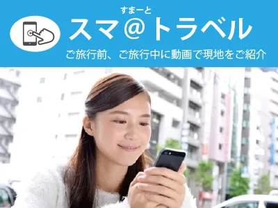 Smart Travel